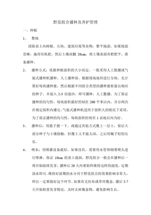 野花组合播种及养护管理