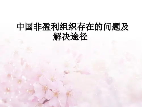 非营利组织中存在的问题分析
