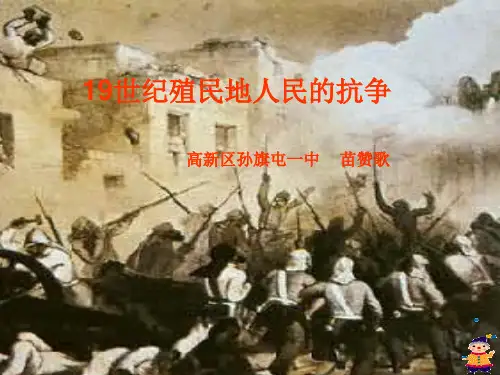 18~19 世纪殖民地人民抗争历史课件