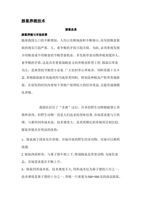 豚鼠养殖技术