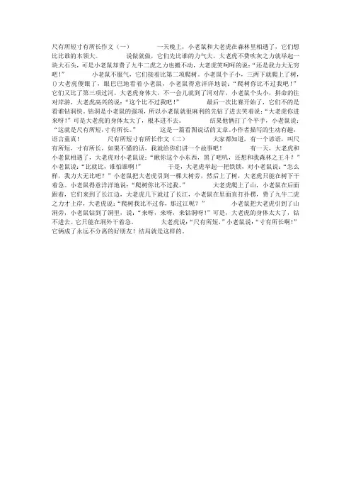 尺有所短寸有所长作文