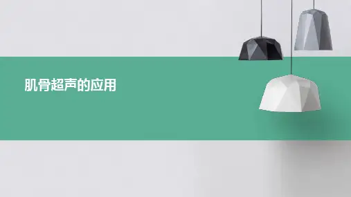 肌骨超声的应用
