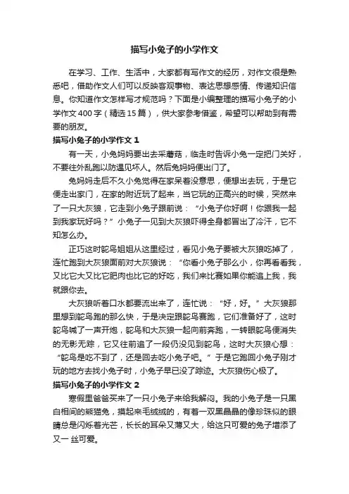 描写小兔子的小学作文400字（精选15篇）