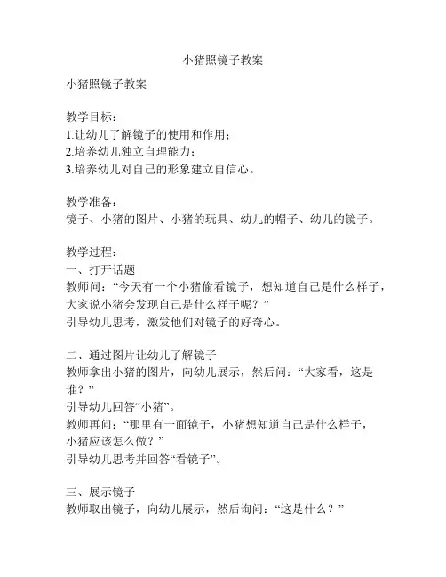 小猪照镜子教案