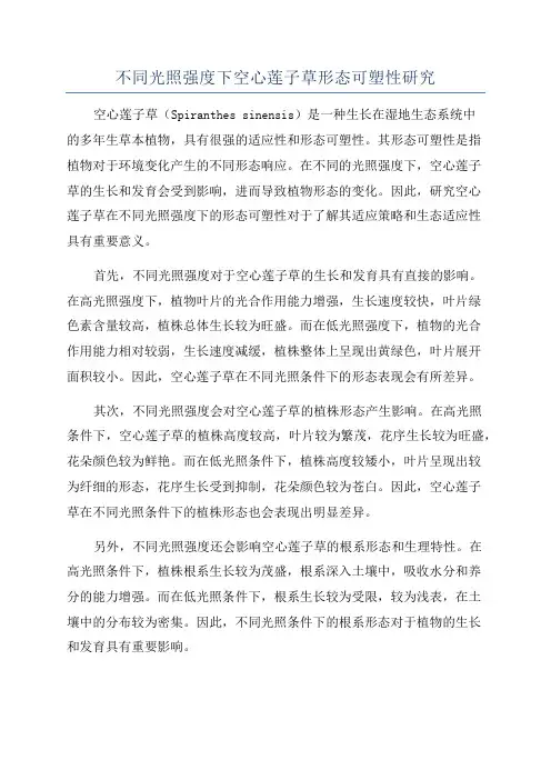 不同光照强度下空心莲子草形态可塑性研究