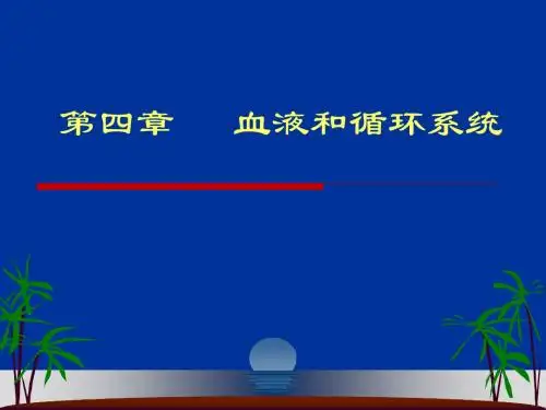 第4章 循环与运动