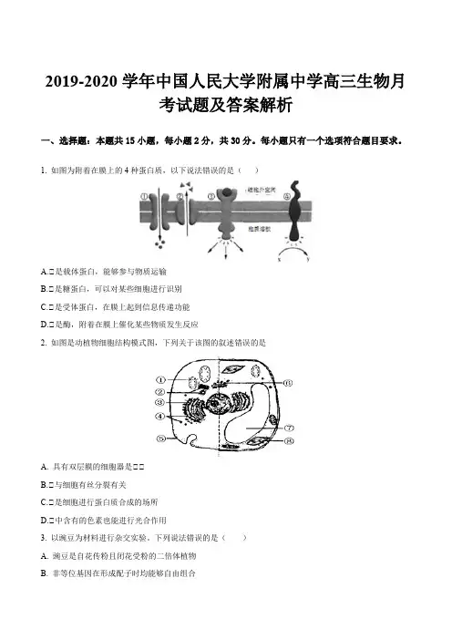 2019-2020学年中国人民大学附属中学高三生物月考试题及答案解析