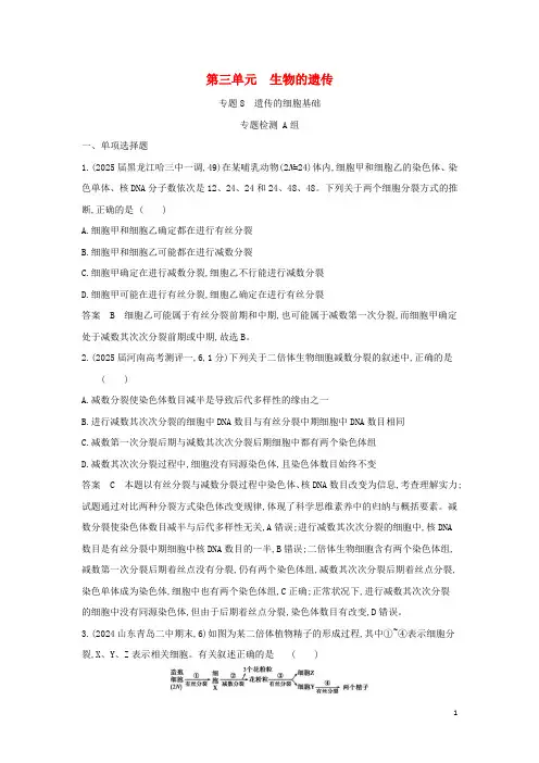 山东专用2024年高考生物一轮复习专题8遗传的细胞基础专题检测含解析