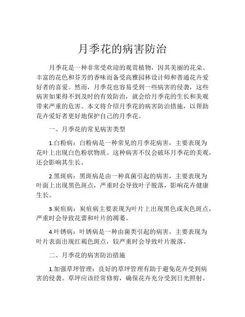 月季花的病害防治