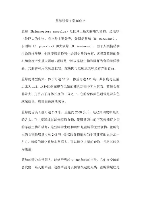 蓝鲸科普文章800字