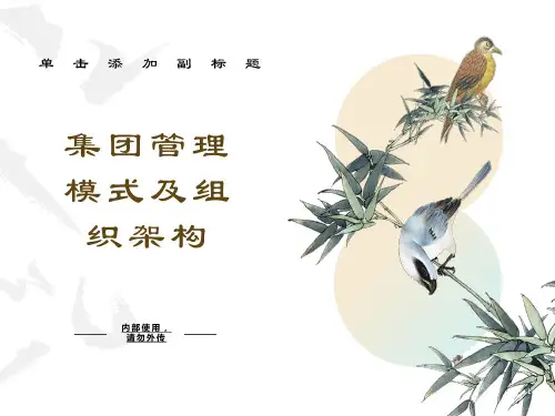 集团化管理模式及组织架构
