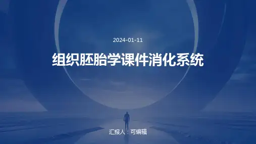 组织胚胎学课件消化系统