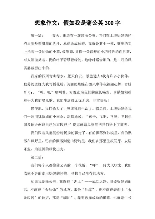 想象作文：假如我是蒲公英300字