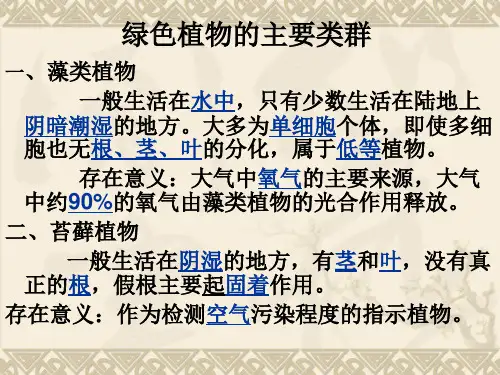 绿色植物的蒸腾作用
