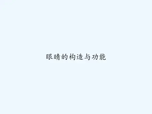 眼睛的构造与功能 PPT