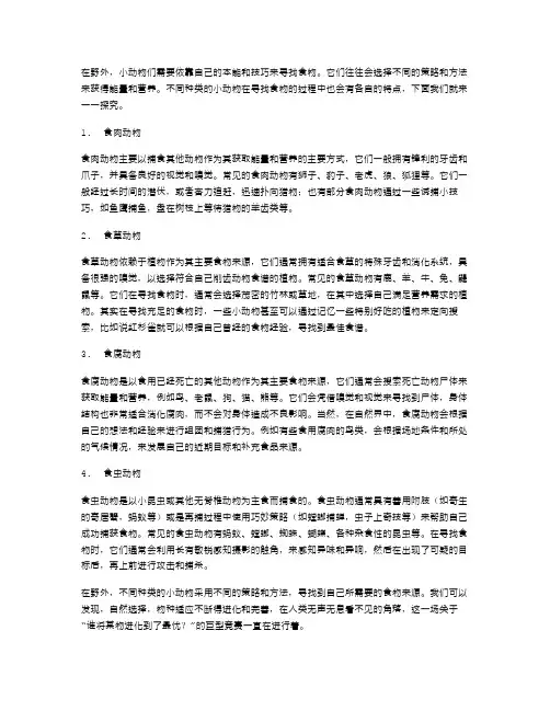 食物来源：小动物们在野外如何觅食？