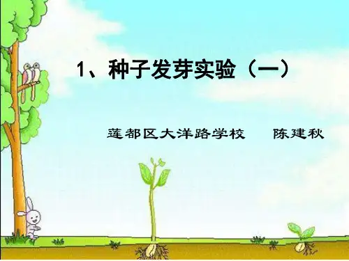 《种子发芽实验(一)》教材课件ppt(4篇)