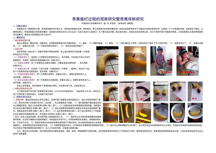 武汉市科学探究大赛：香蕉腐烂过程的观察研究暨香蕉保鲜研究(地大附小番茄班：田雪玫)