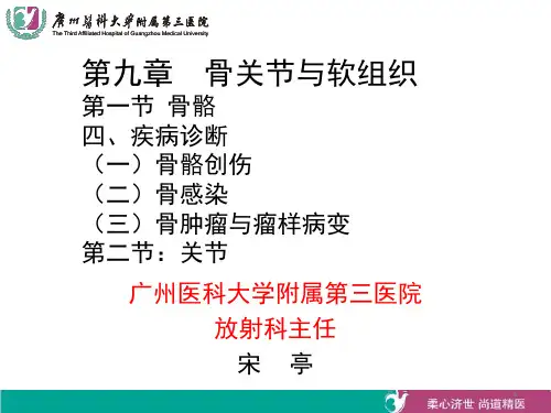 骨与关节创伤-精品医学课件