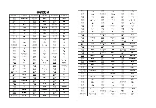 教科版四年级科学上册第四单元检测题