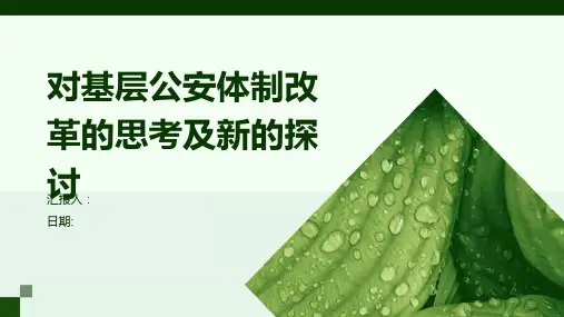 对基层公安体制改革的思考及新的探讨
