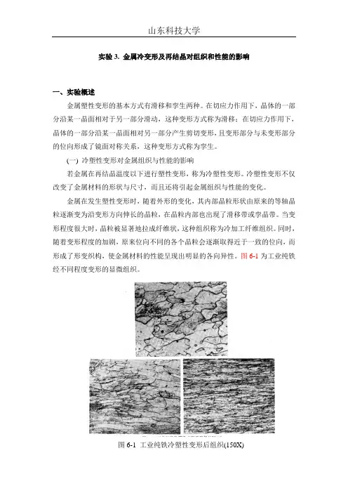 实验3.金属冷变形及再结晶对组织和性能的影响