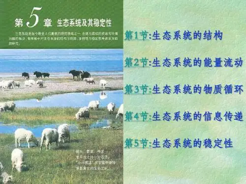 人教版教学课件(人教版)必修三生物第5章第1节生态系统的结构