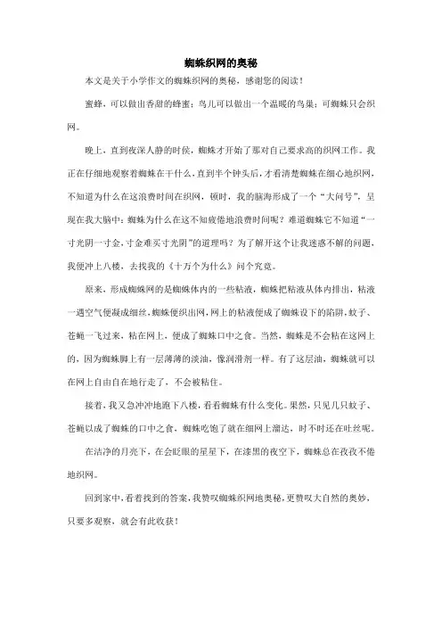 蜘蛛织网的奥秘_小学作文