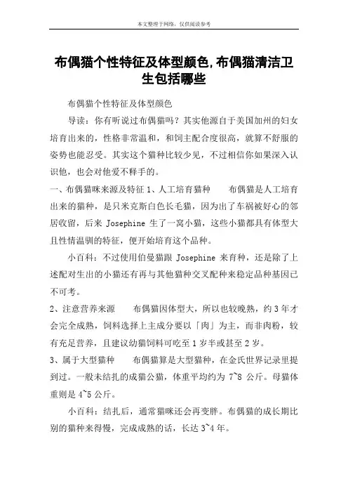 布偶猫个性特征及体型颜色,布偶猫清洁卫生包括哪些