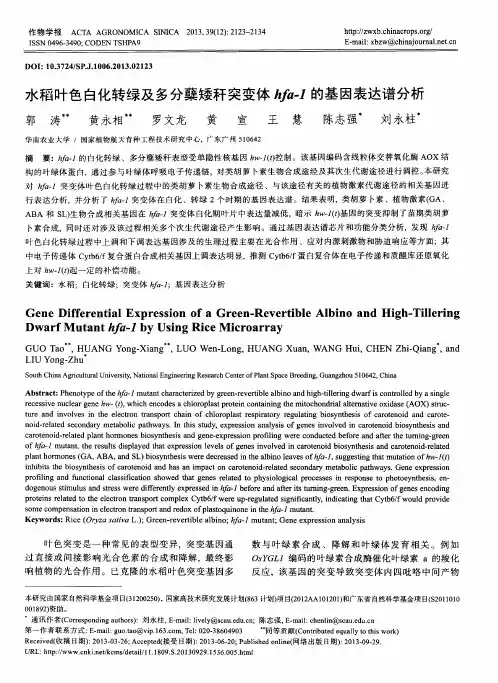 水稻叶色白化转绿及多分蘖矮秆突变体hfa-1的基因表达谱分析