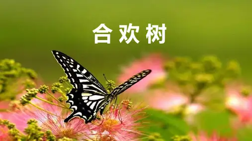 《合欢树》课件 高教版中职语文基础模块下册