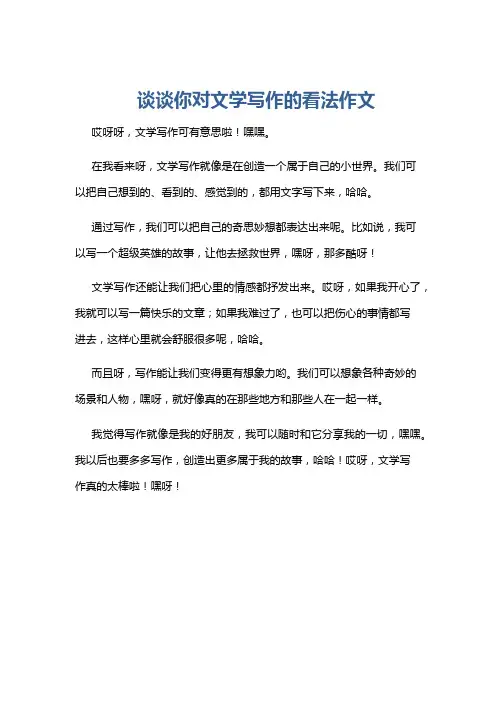 谈谈你对文学写作的看法作文