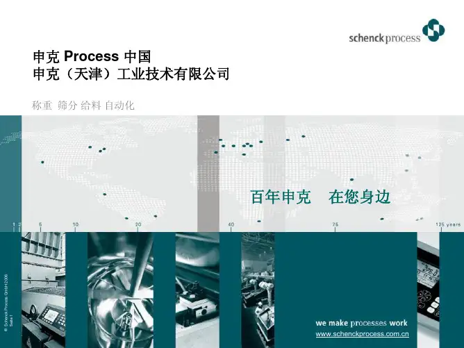 Schenck Process 公司介绍