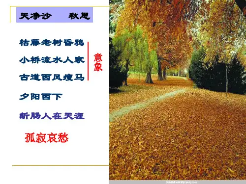 语文课件《星星变奏曲》(经典)
