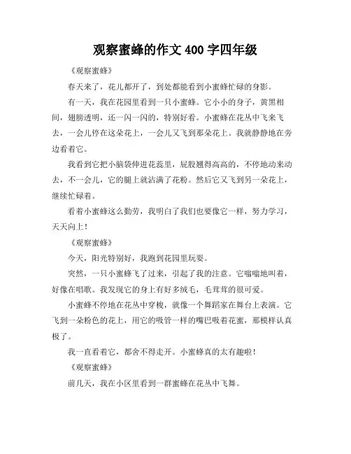 观察蜜蜂的作文400字四年级