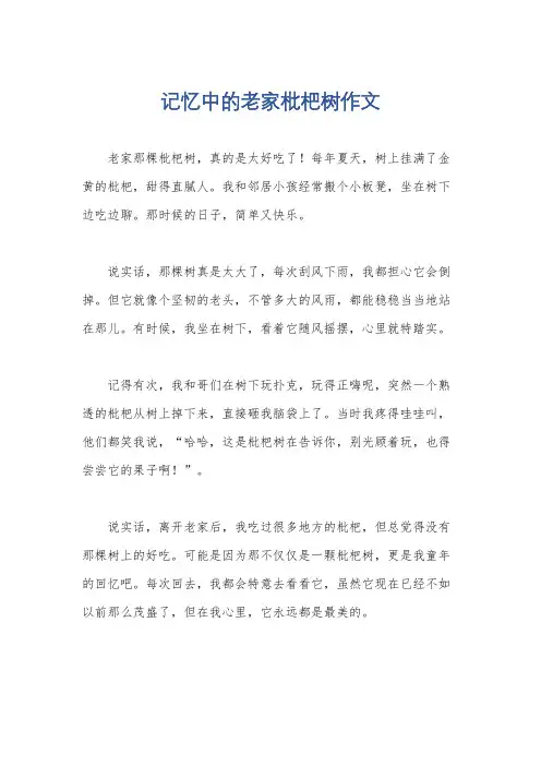 记忆中的老家枇杷树作文