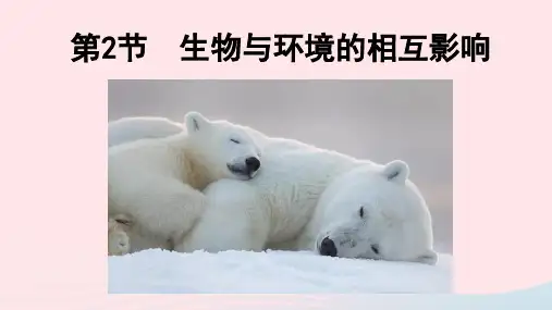 北师大版生物七年级上册课件1.2-生物与环境的相互影响