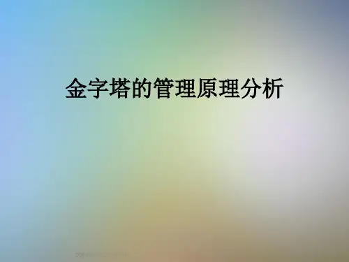金字塔的管理原理分析