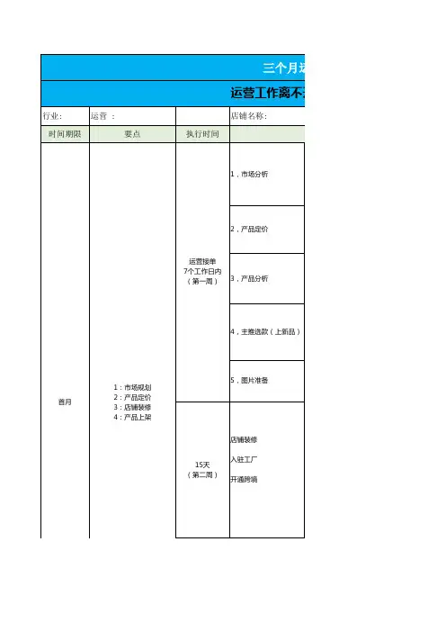 拼多多淘宝阿里巴巴京东天猫运营规划三个月