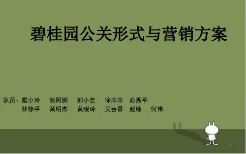 碧桂园营销方案