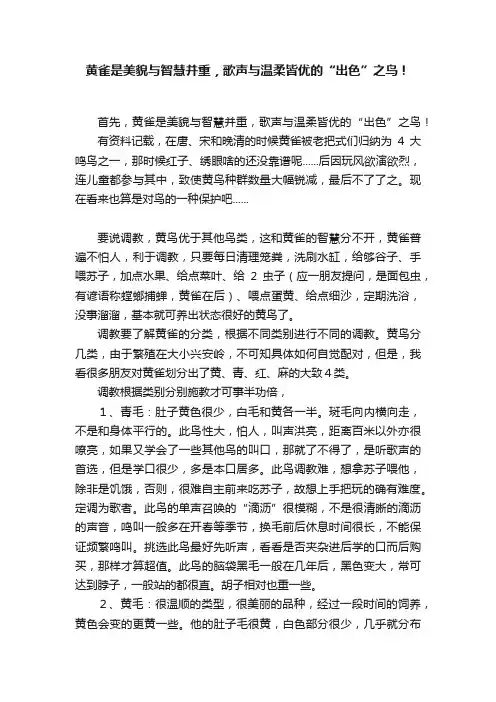 黄雀是美貌与智慧并重，歌声与温柔皆优的“出色”之鸟！