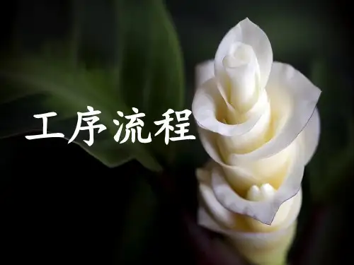 服装生产工序流程.