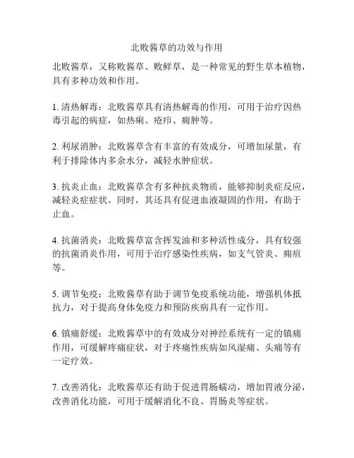 北败酱草的功效与作用