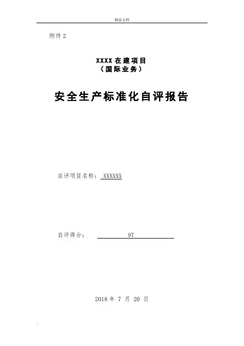 项目部安全生产标准化自评报告