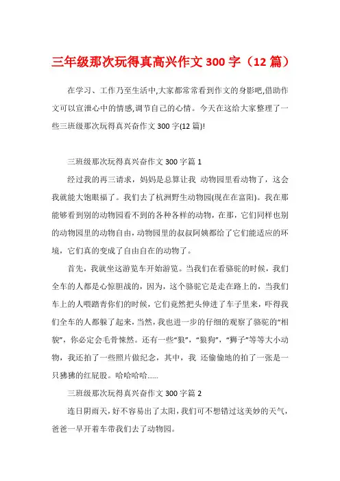 三年级那次玩得真高兴作文300字(12篇)