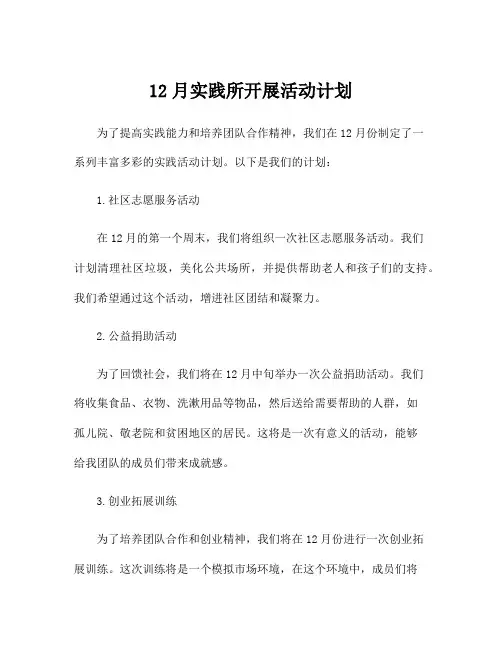 12月实践所开展活动计划