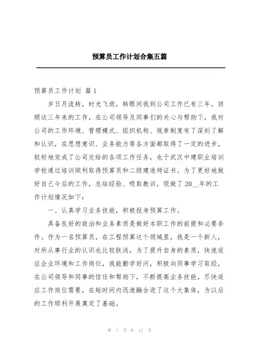 预算员工作计划合集五篇