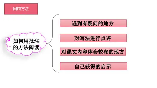 部编版语文四年级上册19一只窝囊的大老虎课件(共23张PPT)