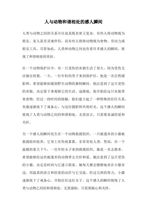 人与动物和谐相处的感人瞬间