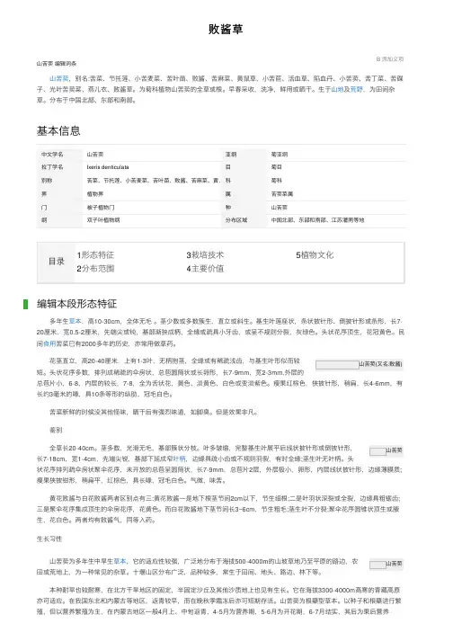 败酱草——精选推荐